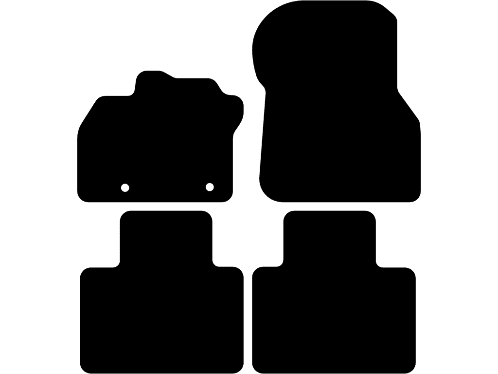 Bilmatter til Renault Zoë 2019 - 2025