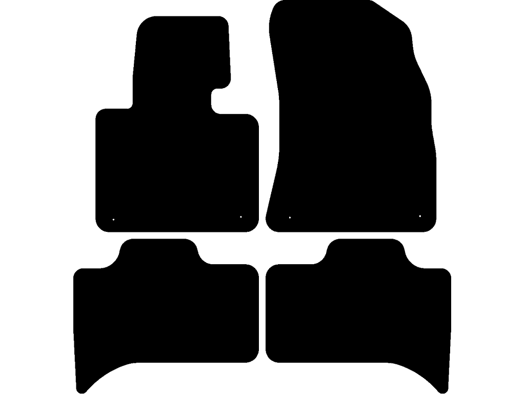 Bilmatter til BMW X5 E53 1999 - 2007