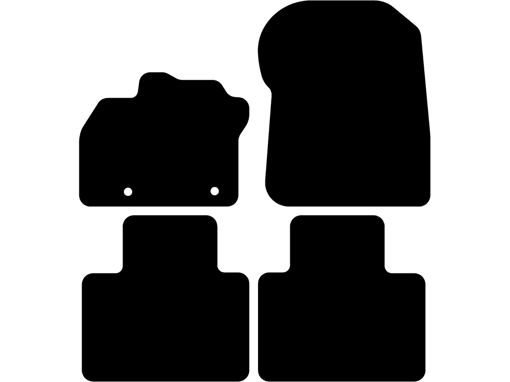 Bilmatter til Renault Zoë 2012 - 2019