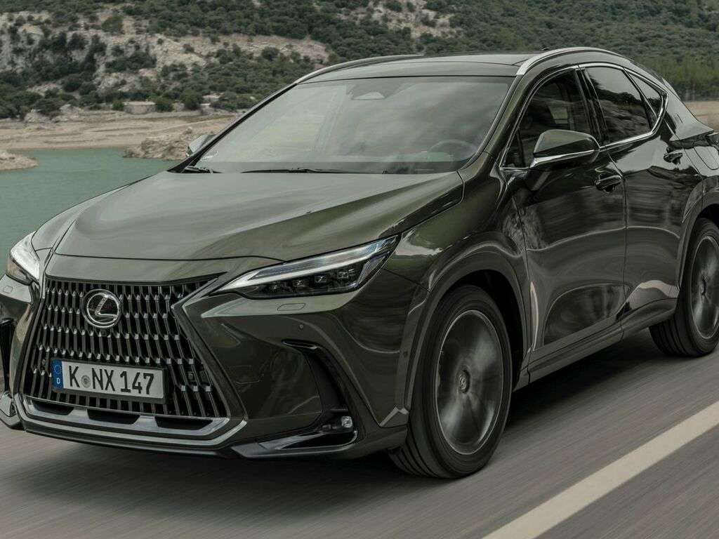 Bagasjeromsmatte til Lexus NX AZ20 2022 - 2025