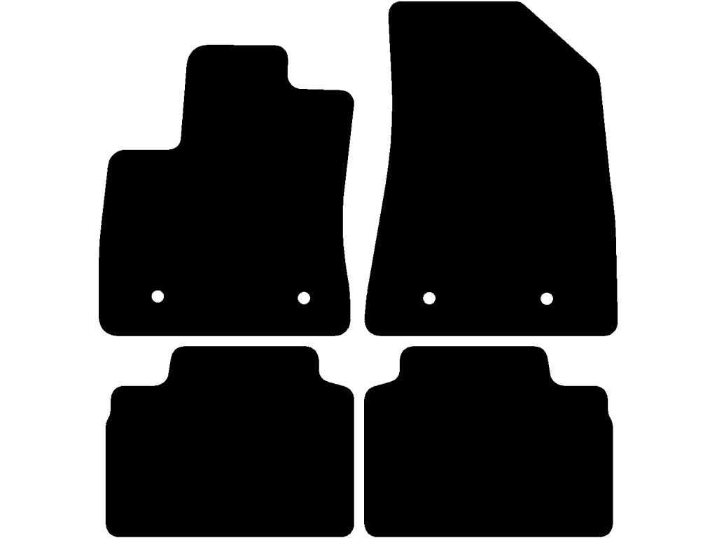 Electric | to separate achtermatten | Variant 1