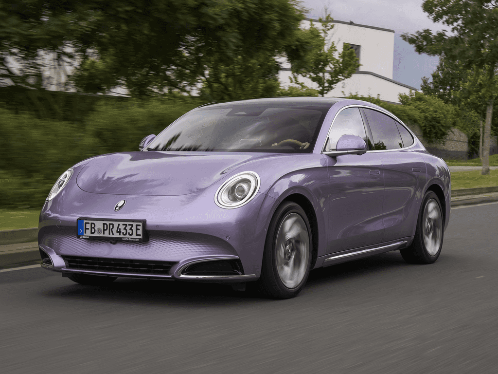 Bagasjeromsmatte til GWM Ora 07 2024 - 2025