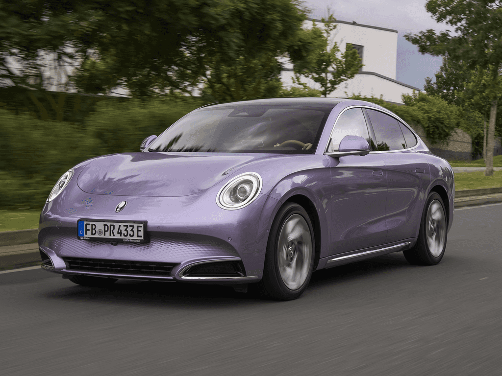 Bagasjeromsmatte til GWM Ora 07 2024 - 2026